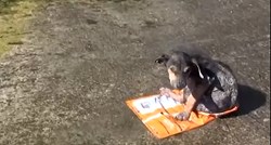VIDEO Pronašli su zlostavljano štene u kanalu duboko više od 10 metara